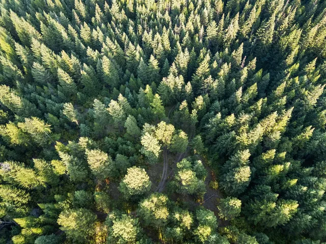 $125,000 | 0 Bergen Road, Newport, WA 99156