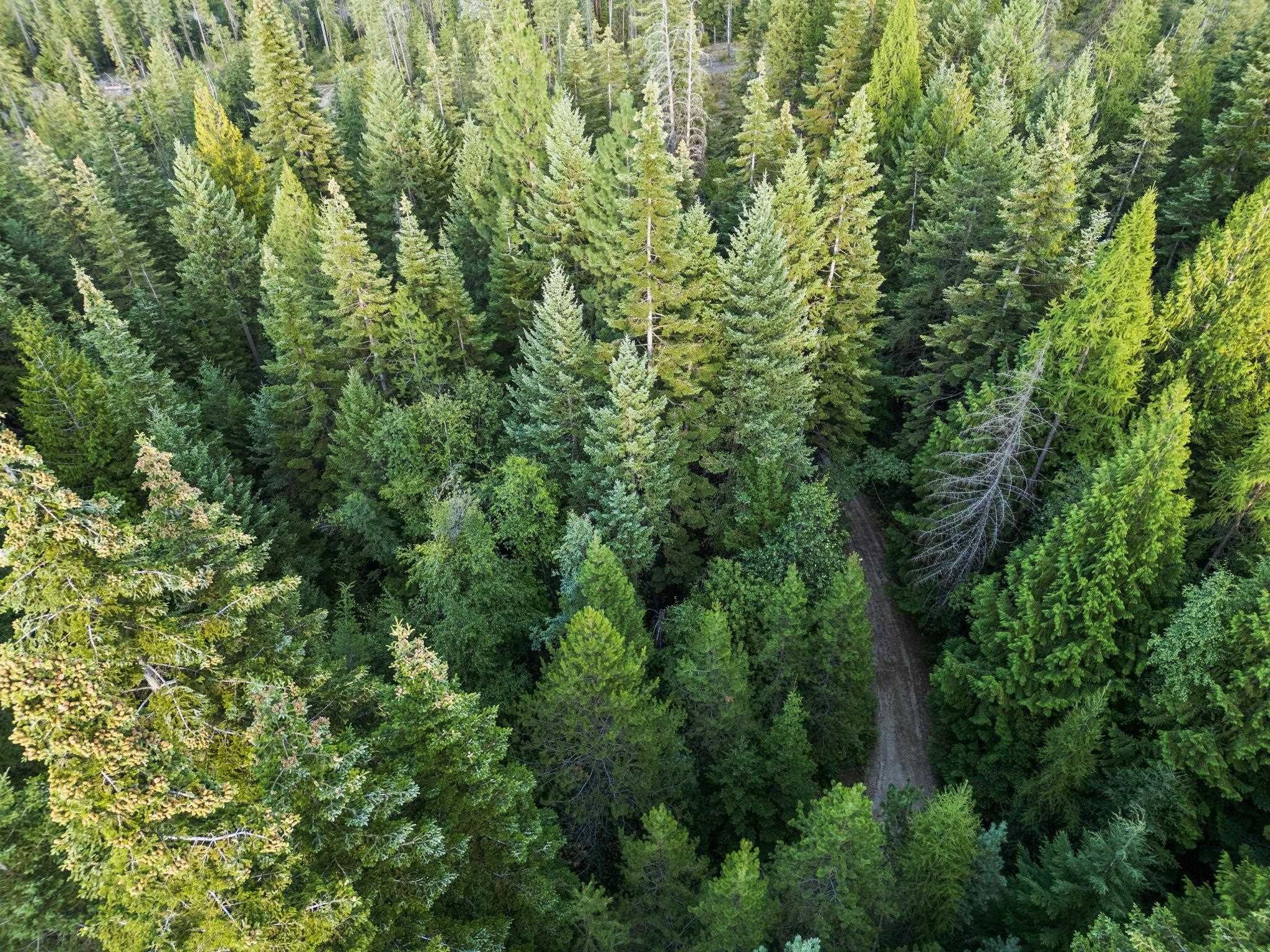 0 Bergen Road Newport, WA 99156 - Photo 6 of 48