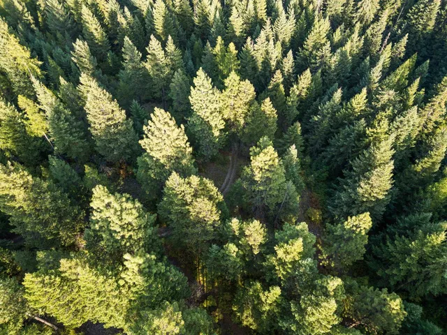 $125,000 | 0 Bergen Road, Newport, WA 99156