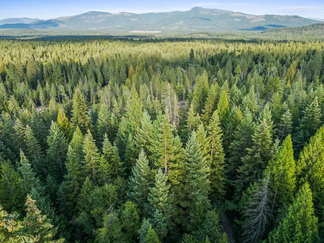 $125,000 | 0 Bergen Road, Newport, WA 99156