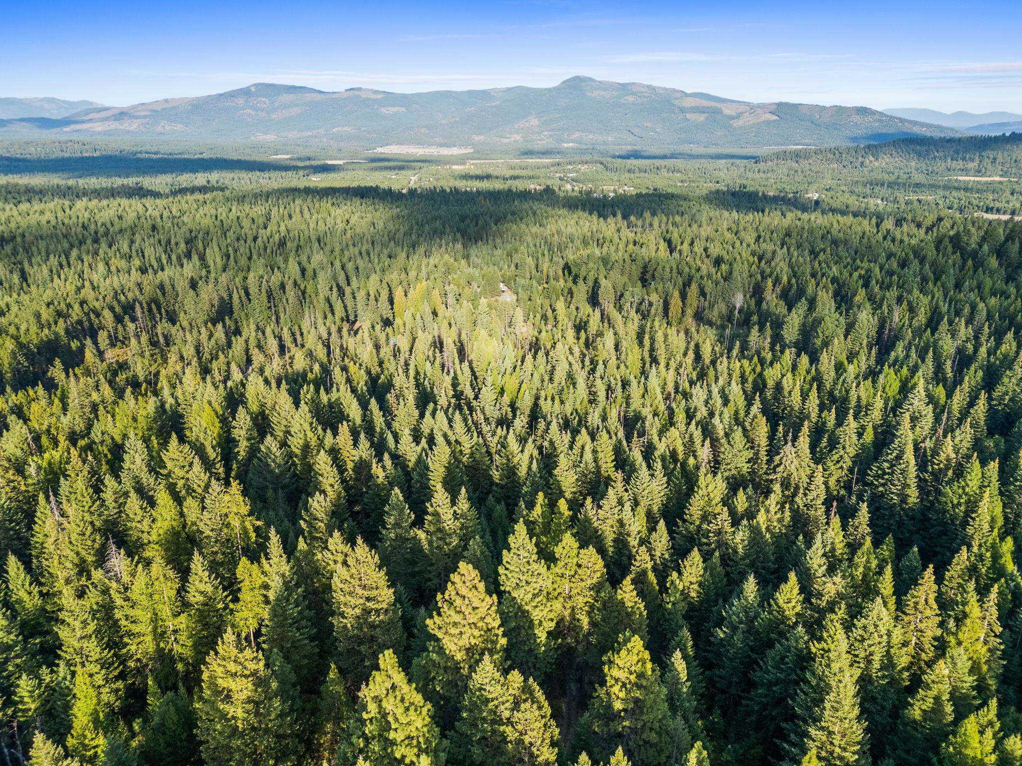 0 Bergen Road Newport, WA 99156 - Photo 9 of 48