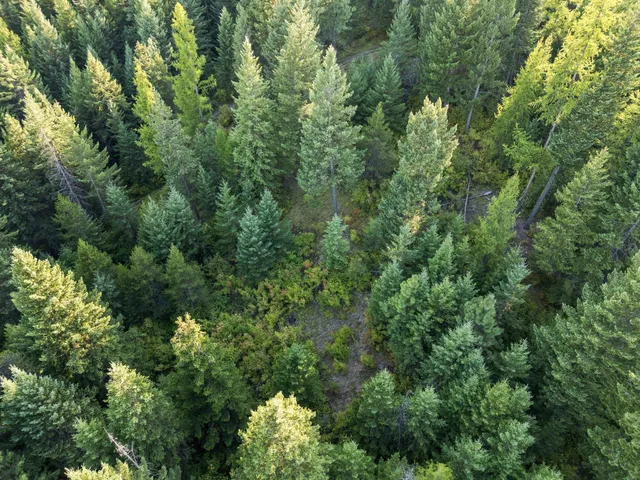 $125,000 | 0 Bergen Road, Newport, WA 99156