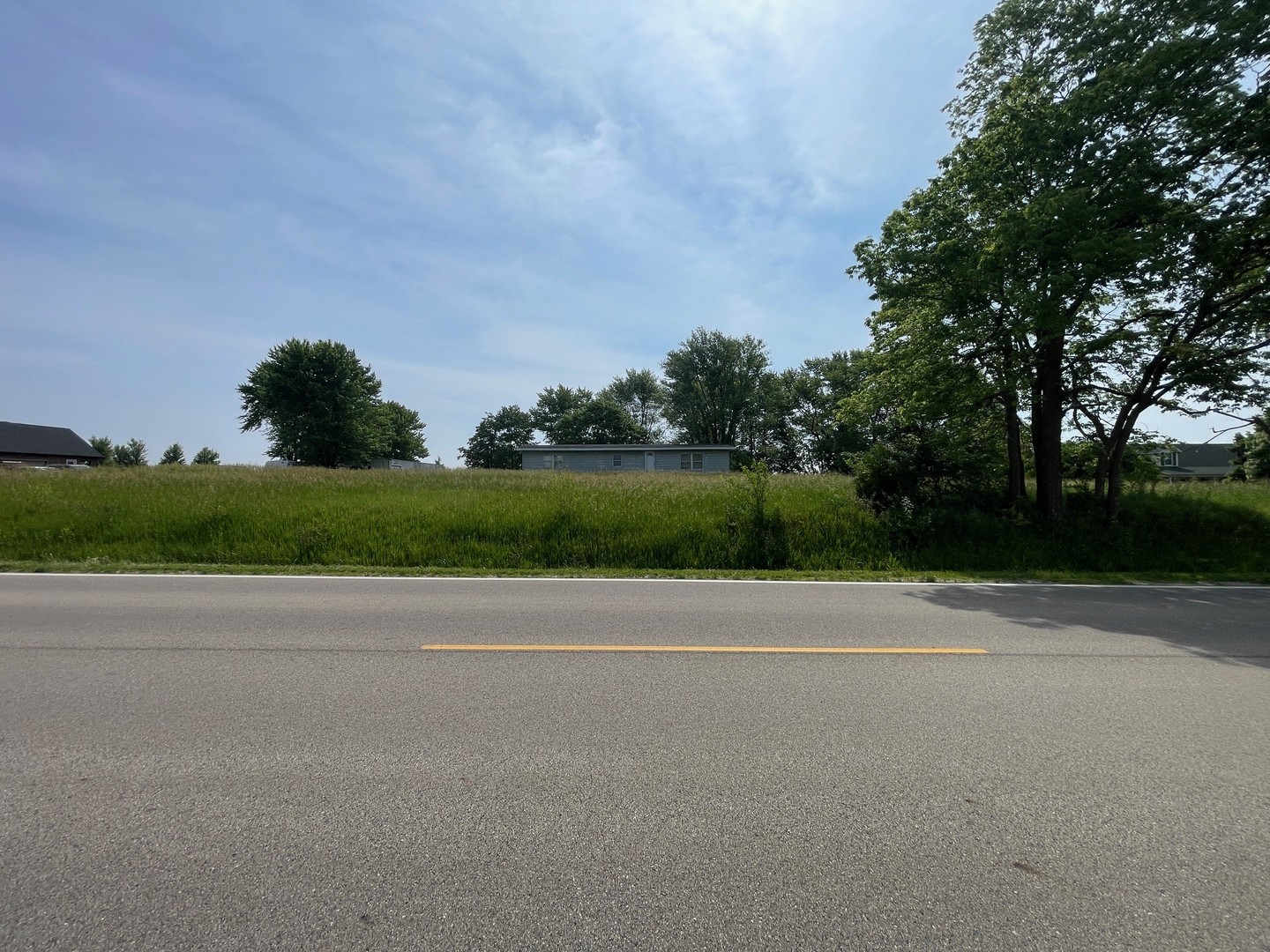 a view of a yard
