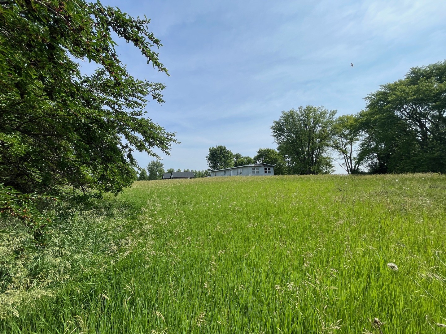 2912 East 29th Road Seneca, IL 61360 - Photo 4 of 5 a backyard of a house with lots of green space