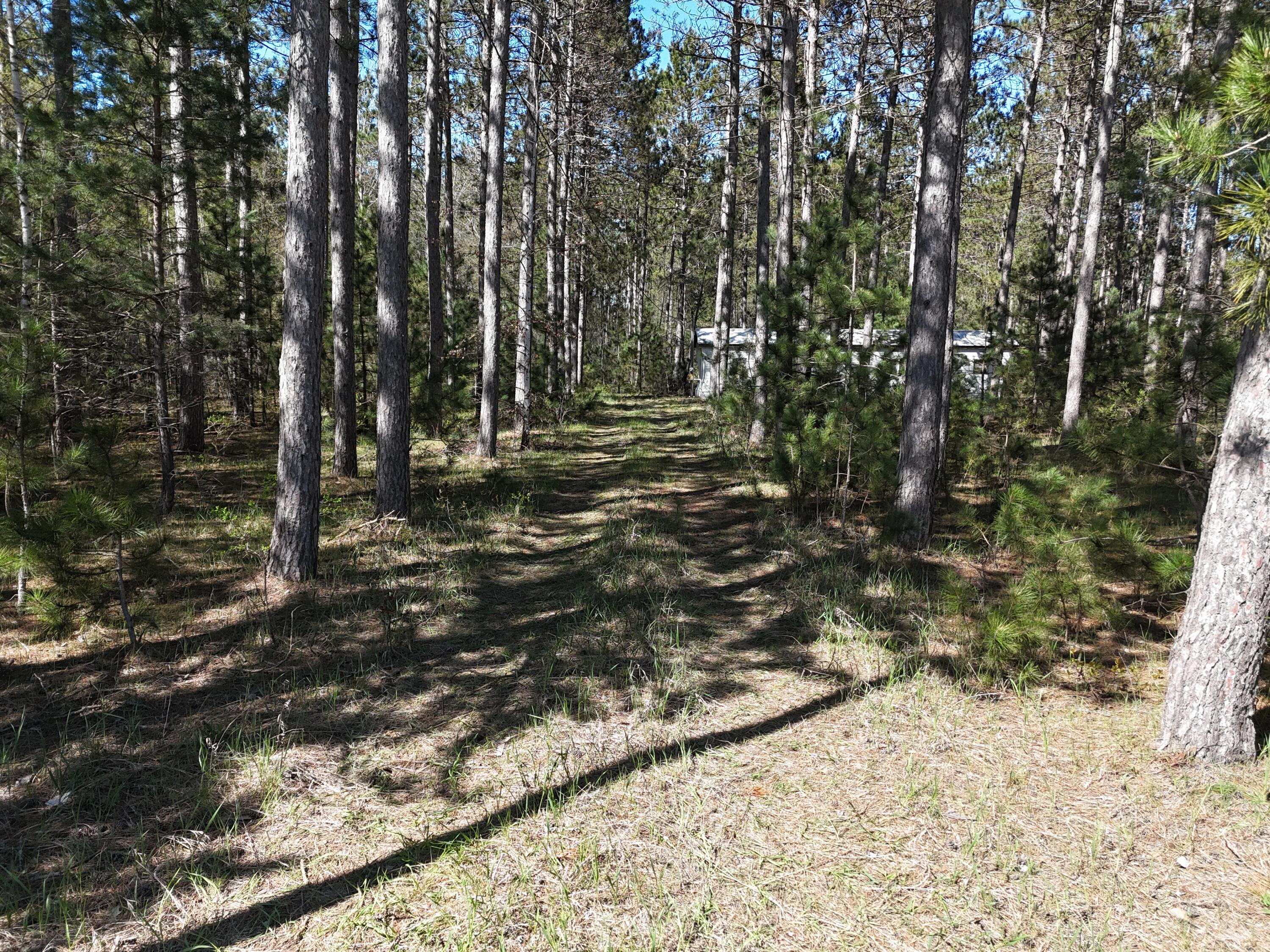 16880 Vondra Road Thompsonville, MI 49683 - Photo 23 of 31 16880 Vondra
