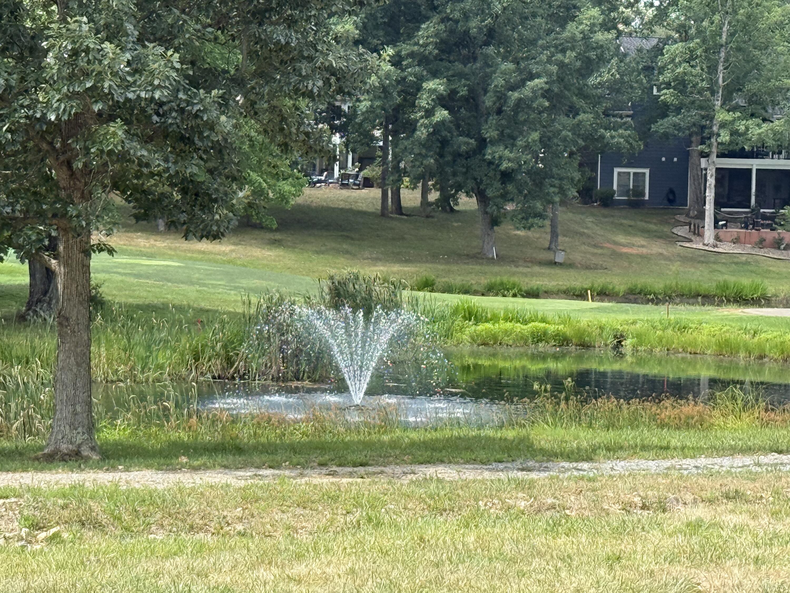 1209 Mariners Way, Unit 72 Huddleston, VA 24104 - Photo 53 of 57 IMG_4801