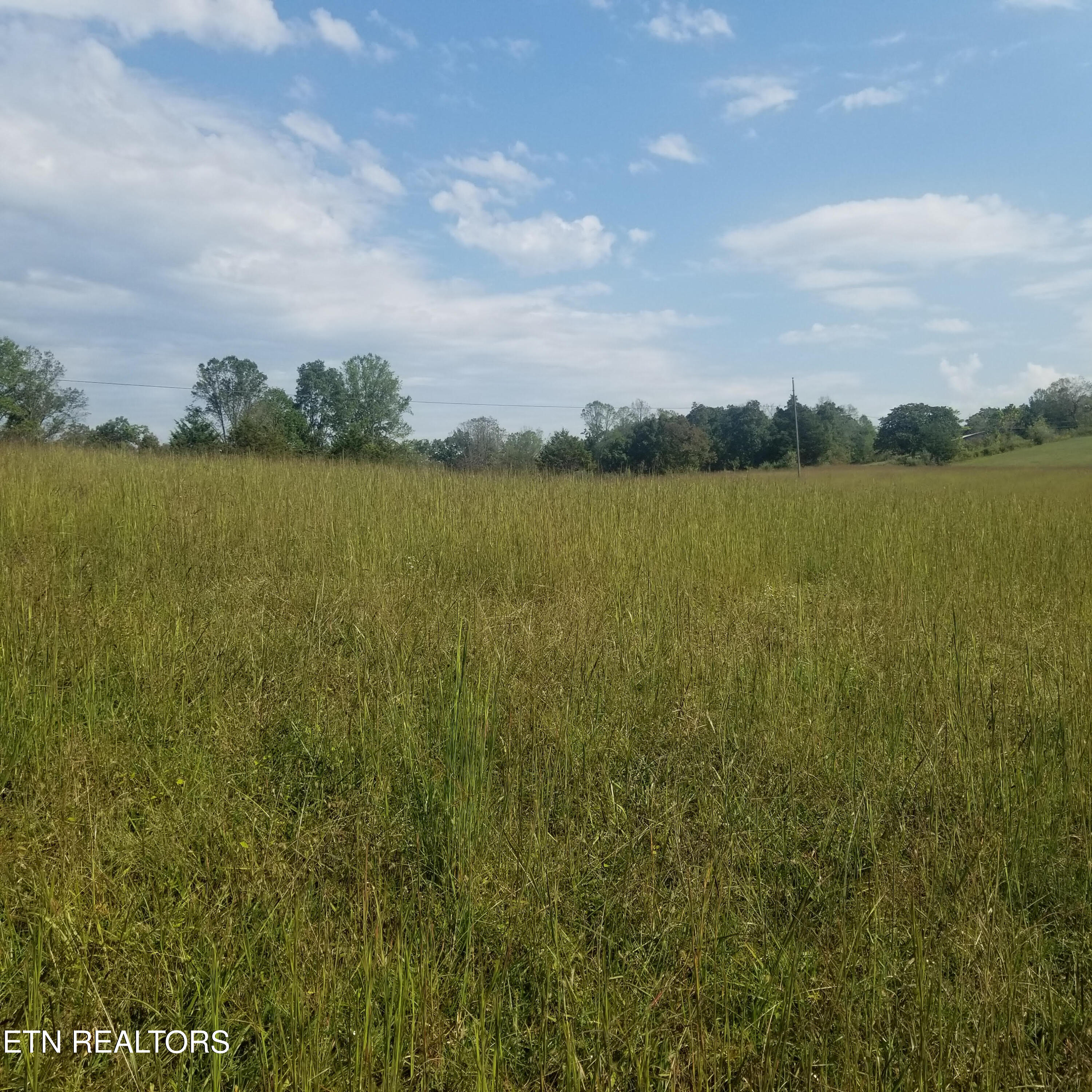 High Point Road Deer Lodge, TN 37726 - Photo 29 of 33 4