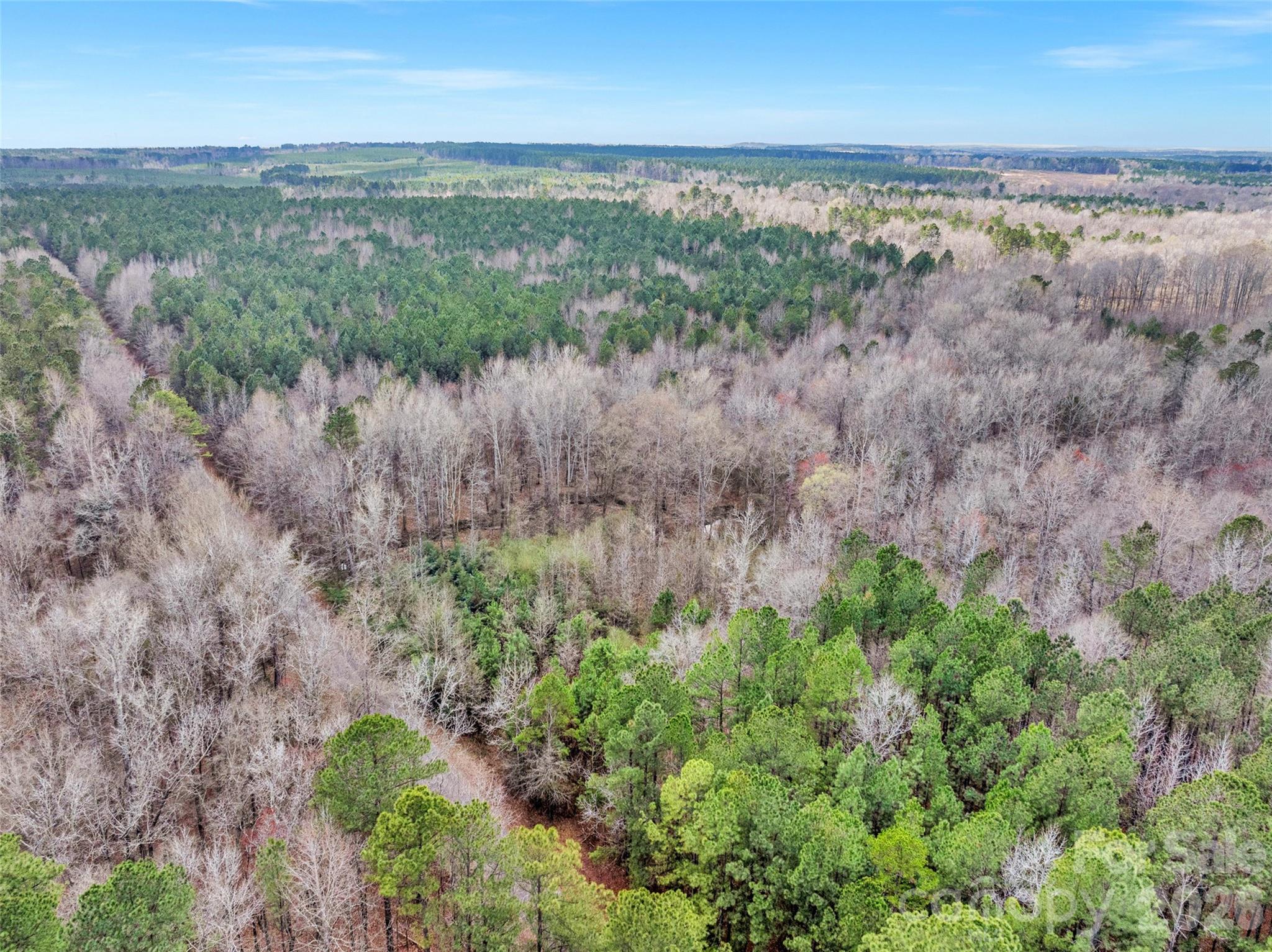 0 Coldstream Road Heath Springs, SC 29058 - Photo 5 of 31 Gallery Image 5