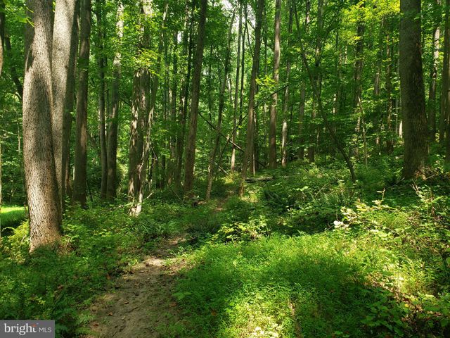 a view of outdoor space and trees all around