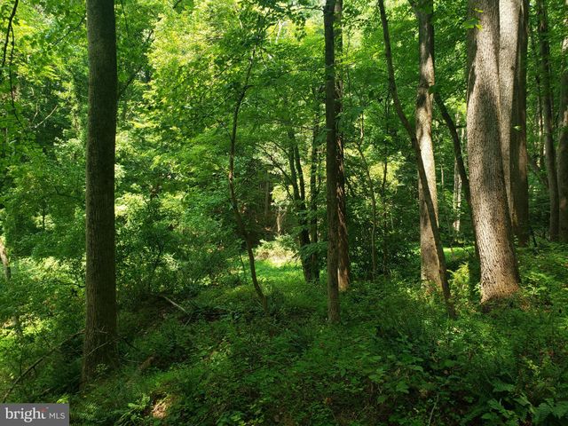 a view of a green yard