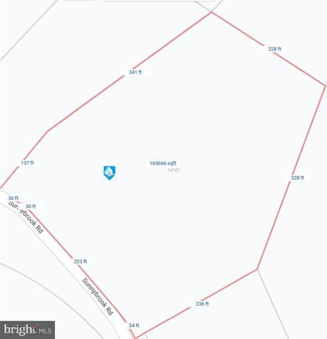 a view of a swimming pool with a yard and large trees