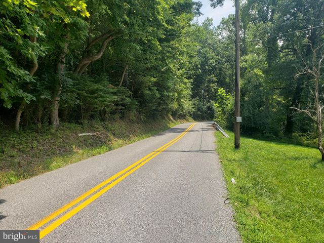 a close view of backyard