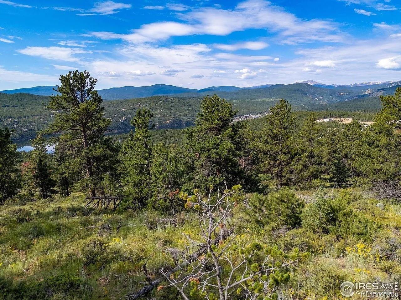 1445 Ridge Road Nederland, CO 80466 - Photo 10 of 20 Gallery Image 10