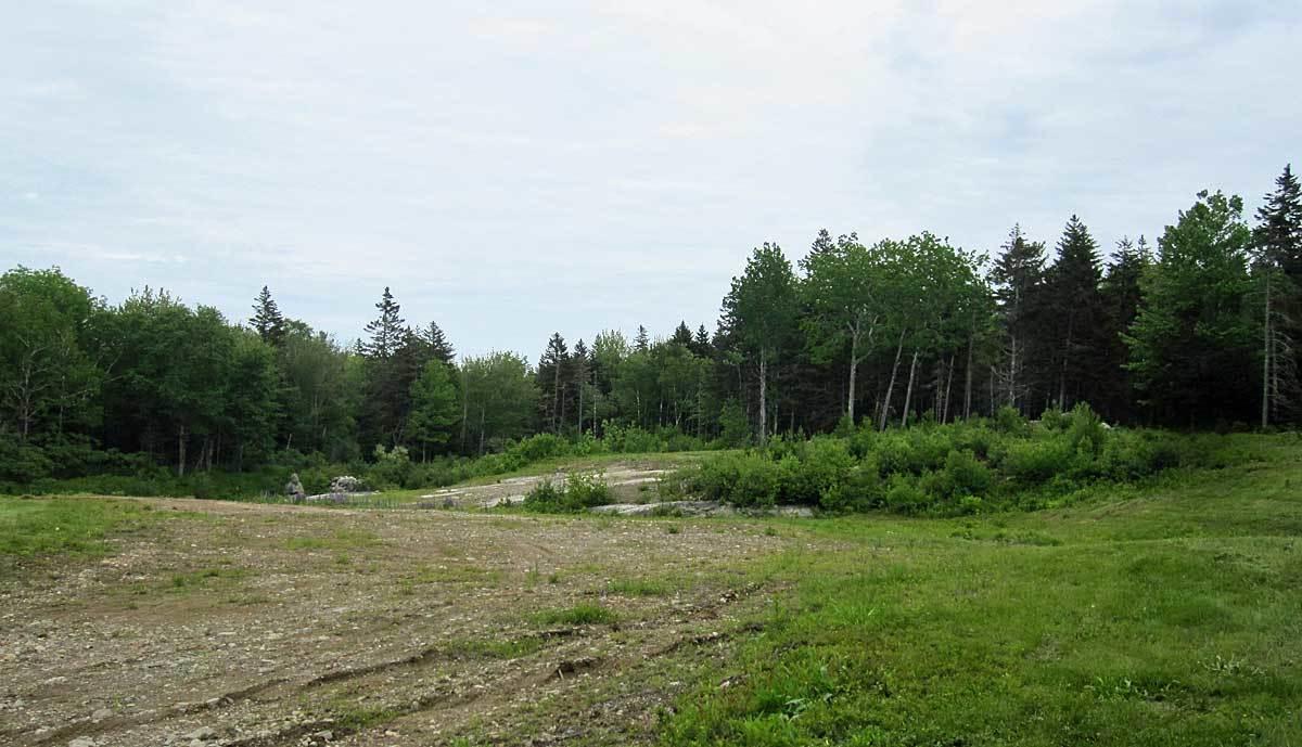 340 Turkey Cove Road Tenants Harbor, ME 04860 - Photo 4 of 11 340turkeyCove-1