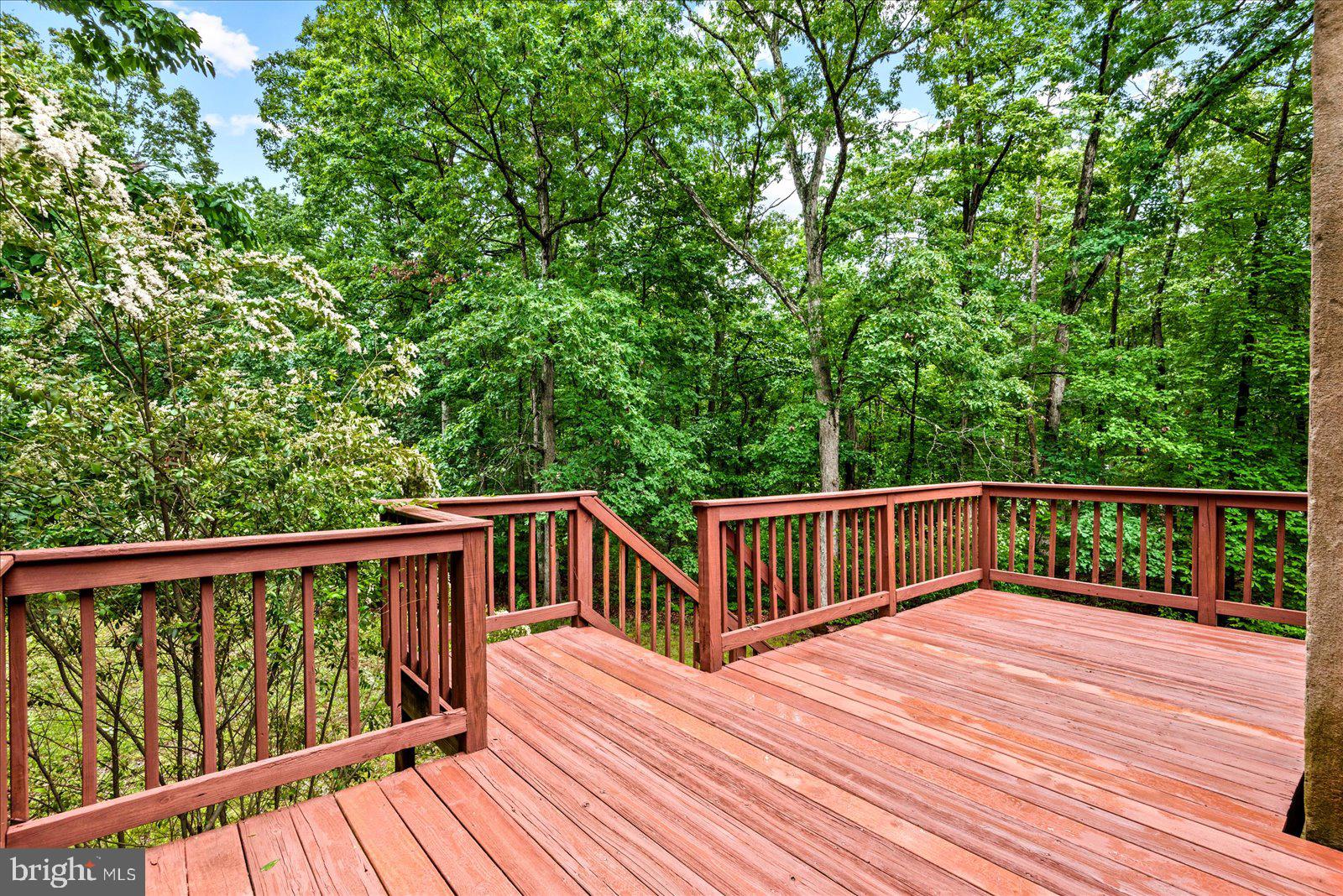 1644 Truslow Road Fredericksburg, VA 22406 - Photo 31 of 43 Gallery Image 31
