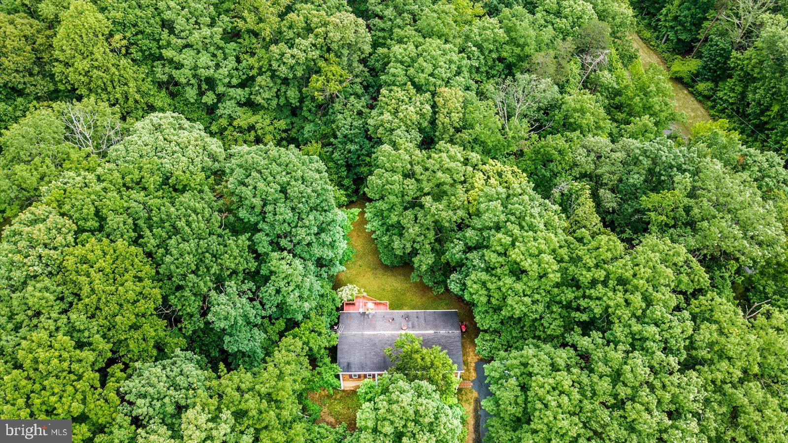 1644 Truslow Road Fredericksburg, VA 22406 - Photo 35 of 43 Gallery Image 35