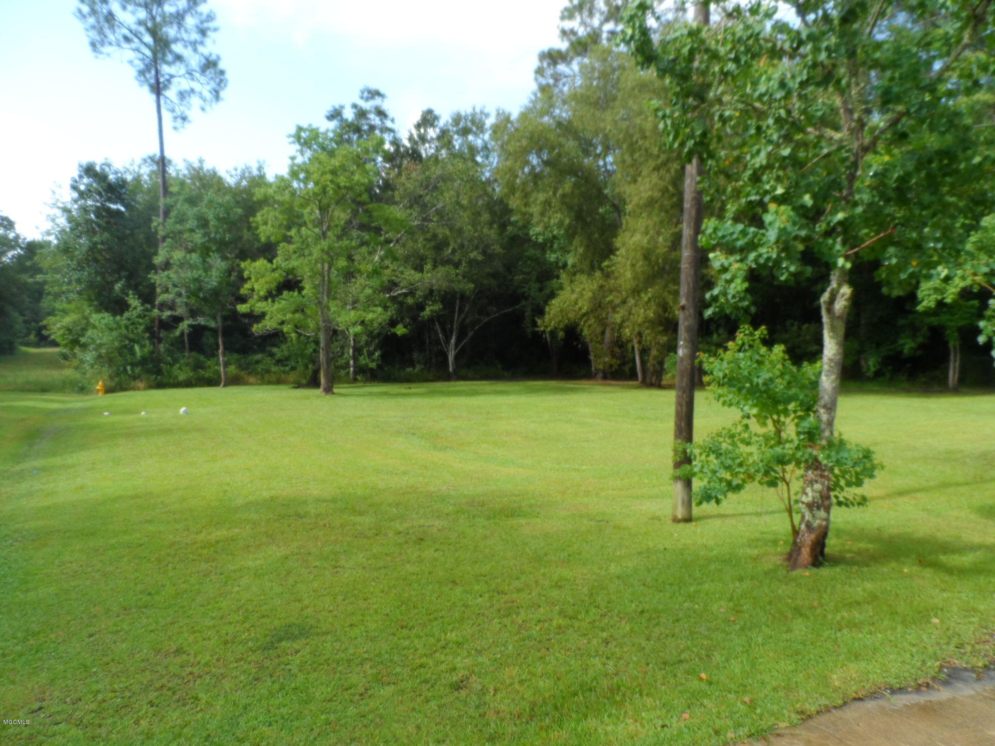 13289 Rene Avenue Gulfport, MS 39503 - Photo 3 of 20 SAM_6388