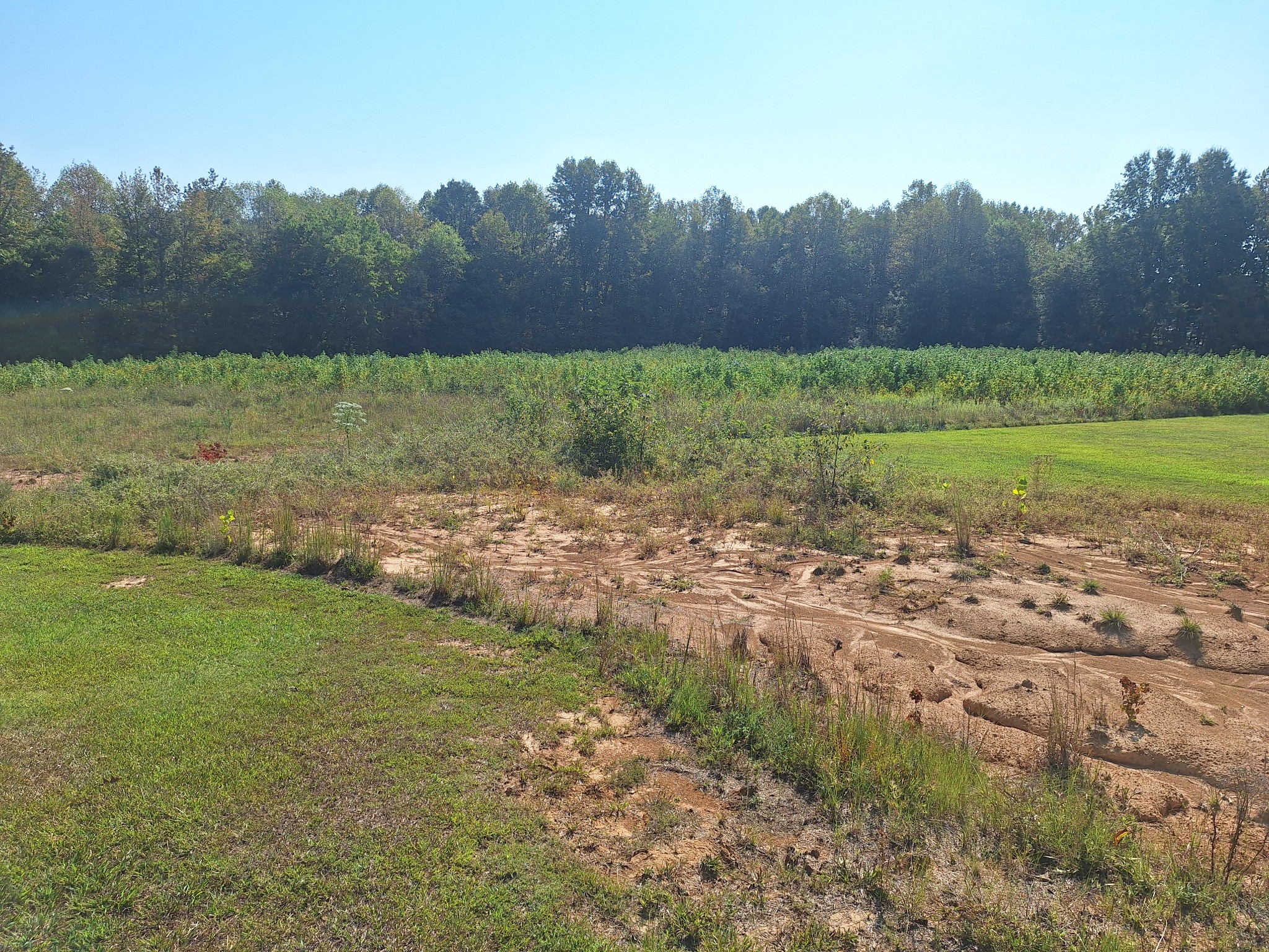 1 Post Oak Road Camden, TN 38320 - Photo 3 of 3 a view of a field with a tree in the background