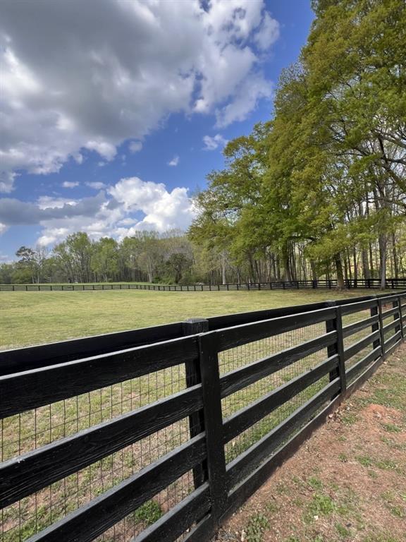 3386 Chandler Road Good Hope, GA 30641 - Photo 87 of 96