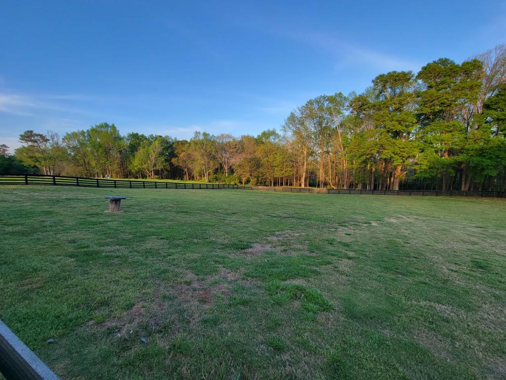 3386 Chandler Road Good Hope, GA 30641 - Photo 89 of 96 a view of a green field with trees in the background