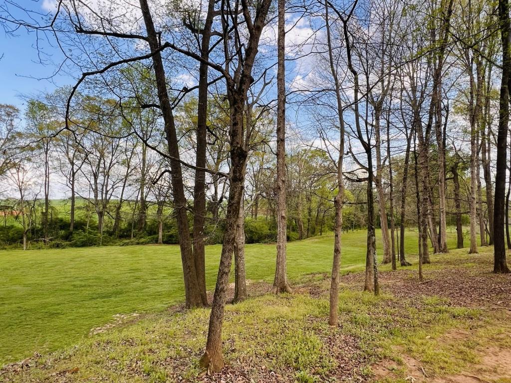 3386 Chandler Road Good Hope, GA 30641 - Photo 90 of 96 a view of a trees with a yard