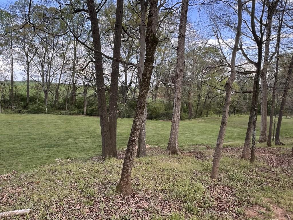 3386 Chandler Road Good Hope, GA 30641 - Photo 91 of 96 a view of a park with a tree