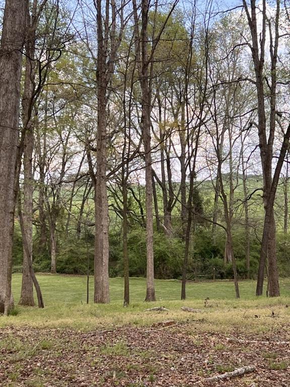 3386 Chandler Road Good Hope, GA 30641 - Photo 92 of 96