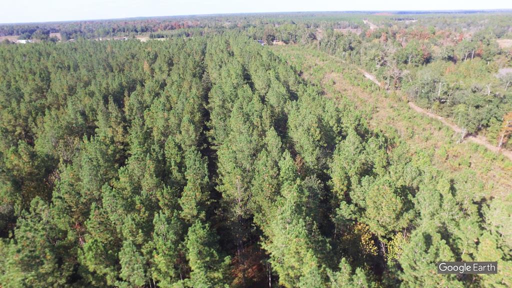 0 Greenhouse Road Gordon, AL 36343 - Photo 11 of 38