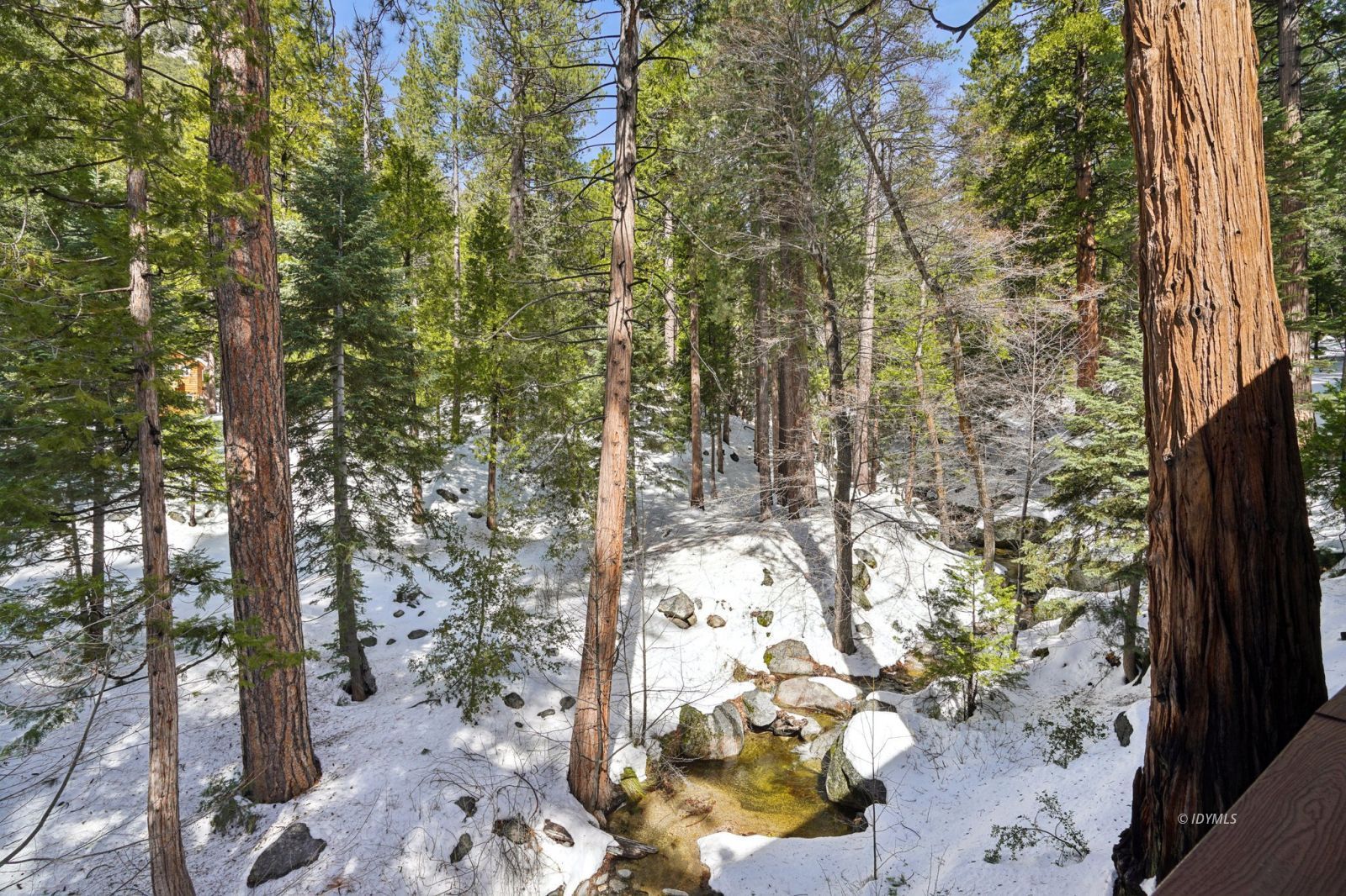 24490 Upper Rim Rock Road Idyllwild, CA 92549 - Photo 35 of 41 a view of a yard
