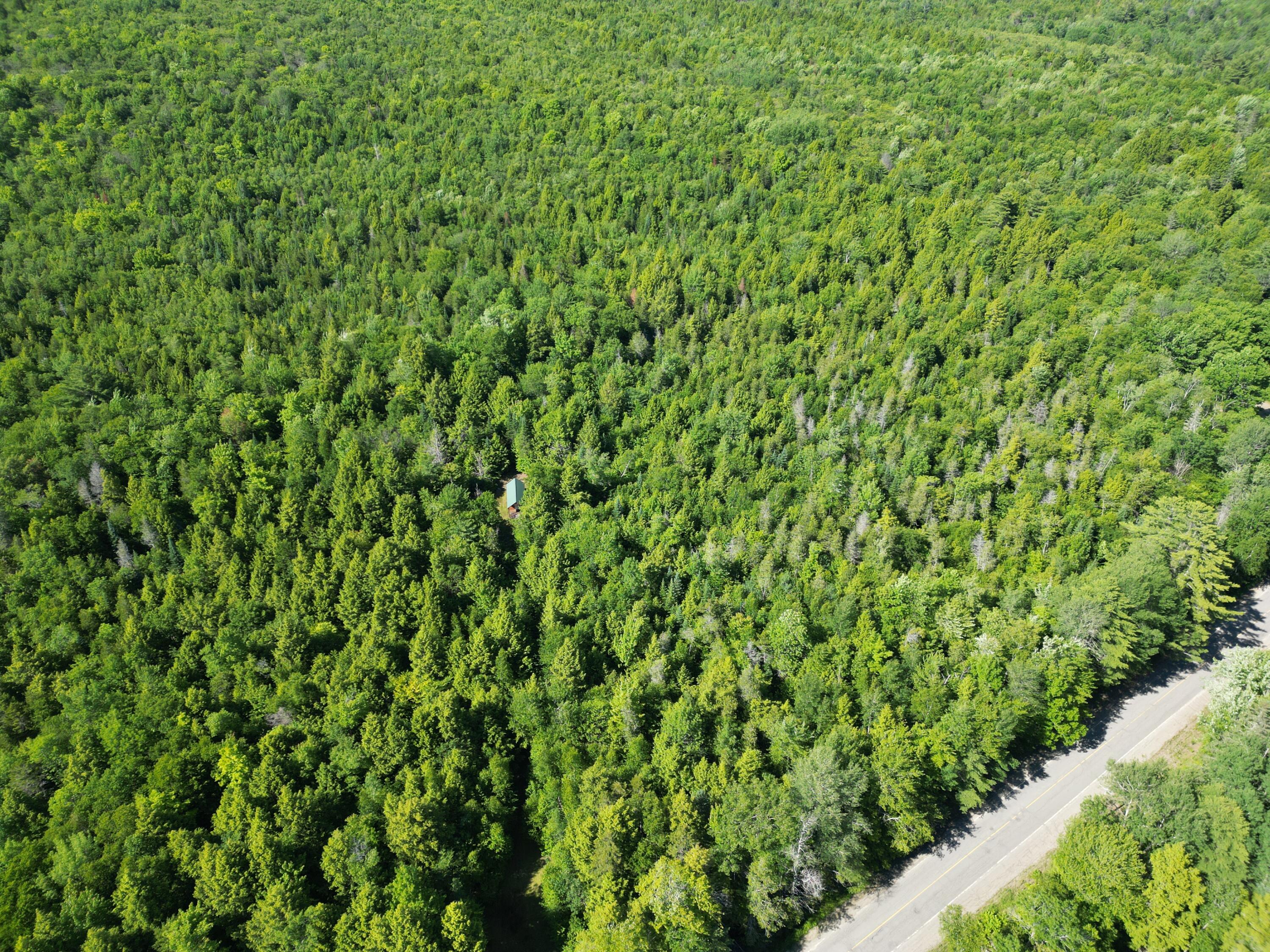 195 West Old Main Road Lowell, ME 04493 - Photo 18 of 18 DJI_0796