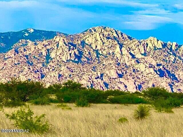 36.10 Acres Street St. David, AZ 85630 - Photo 5 of 21
