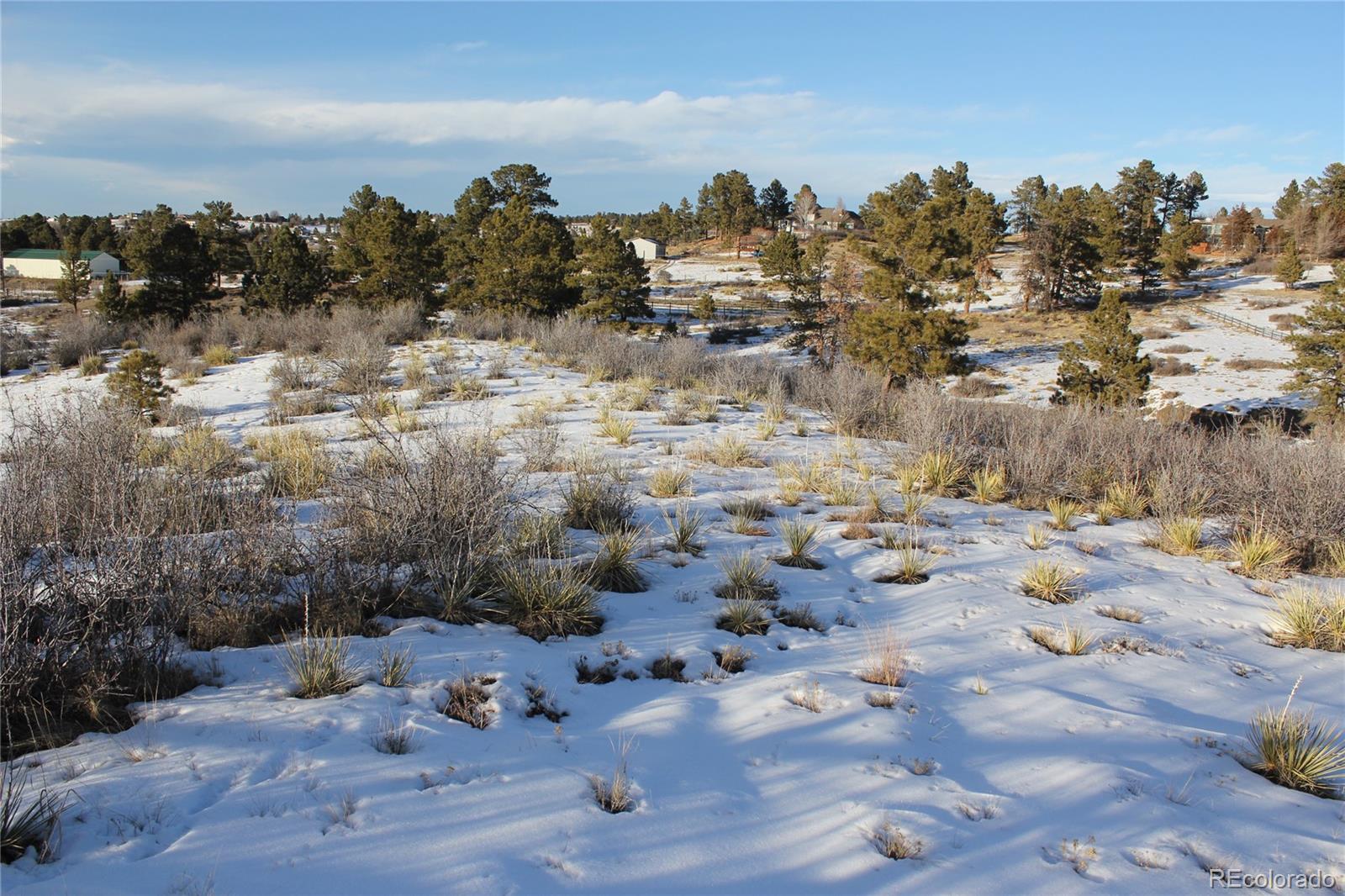 7965 Homestead Road Parker, CO 80138 - Photo 2 of 8 Gallery Image 2