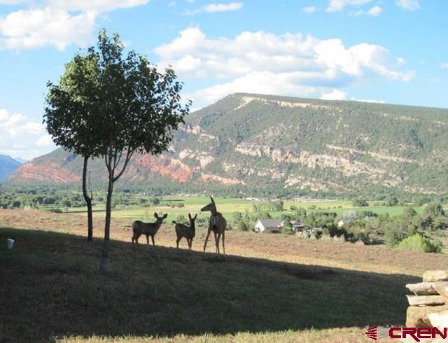 1369 Florida Road Durango, CO 81301 - Photo 21 of 35 Gallery Image 21