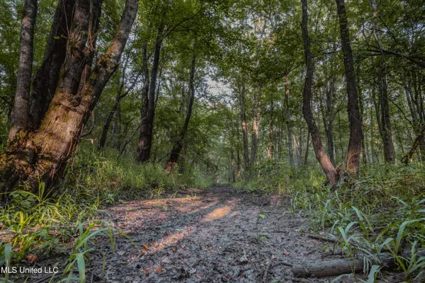 $239,400 | 0 Browning Road, Greenwood, MS 38930