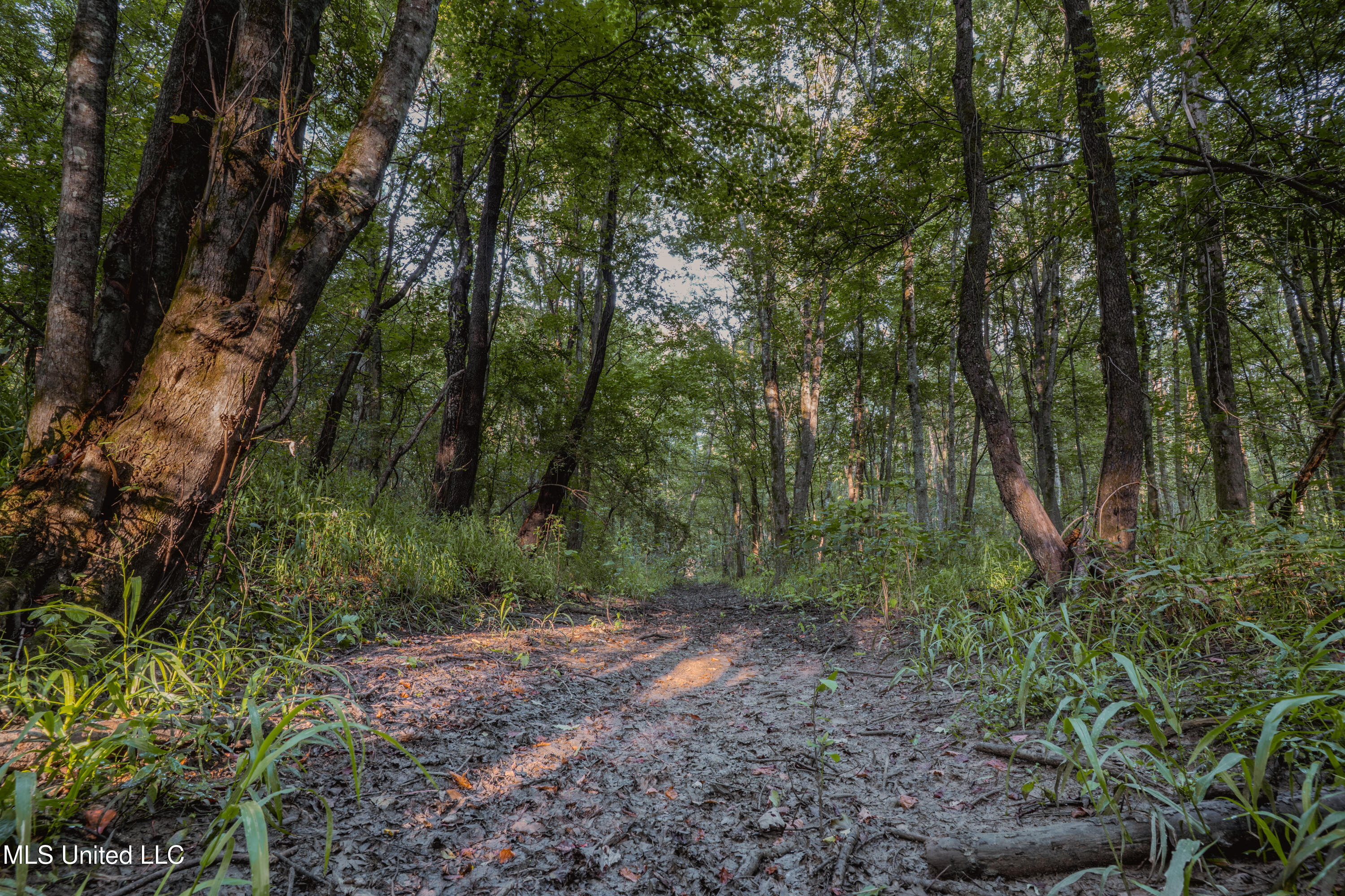 0 Browning Road Greenwood, MS 38930 - Photo 11 of 49 UNDER 15MB-Greenwood Ms-John Machost-10