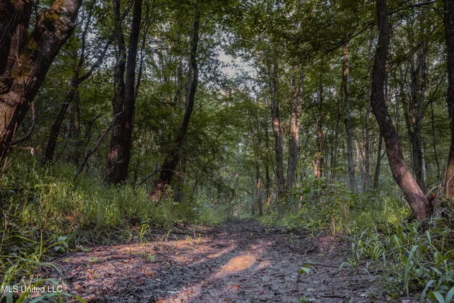 $239,400 | 0 Browning Road, Greenwood, MS 38930