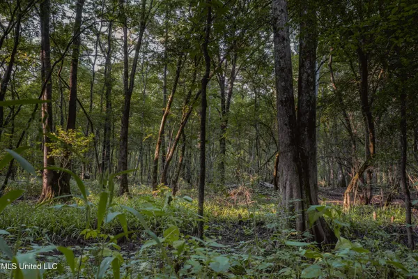 $239,400 | 0 Browning Road, Greenwood, MS 38930