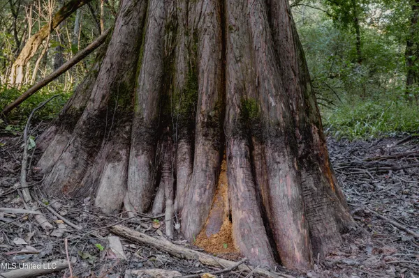 $239,400 | 0 Browning Road, Greenwood, MS 38930