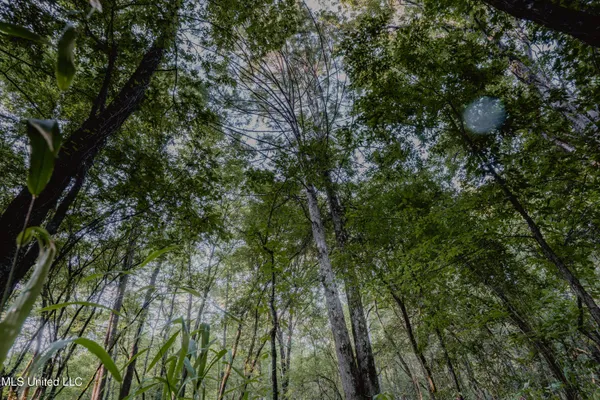 $239,400 | 0 Browning Road, Greenwood, MS 38930