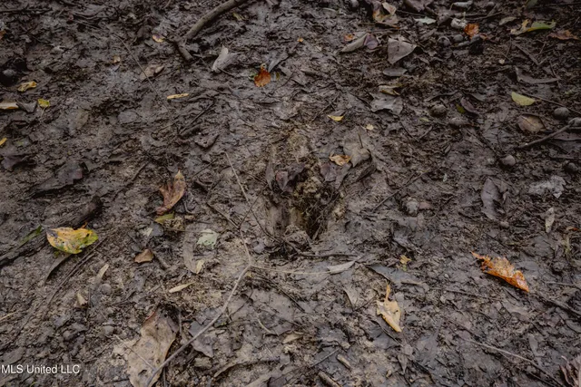 $239,400 | 0 Browning Road, Greenwood, MS 38930