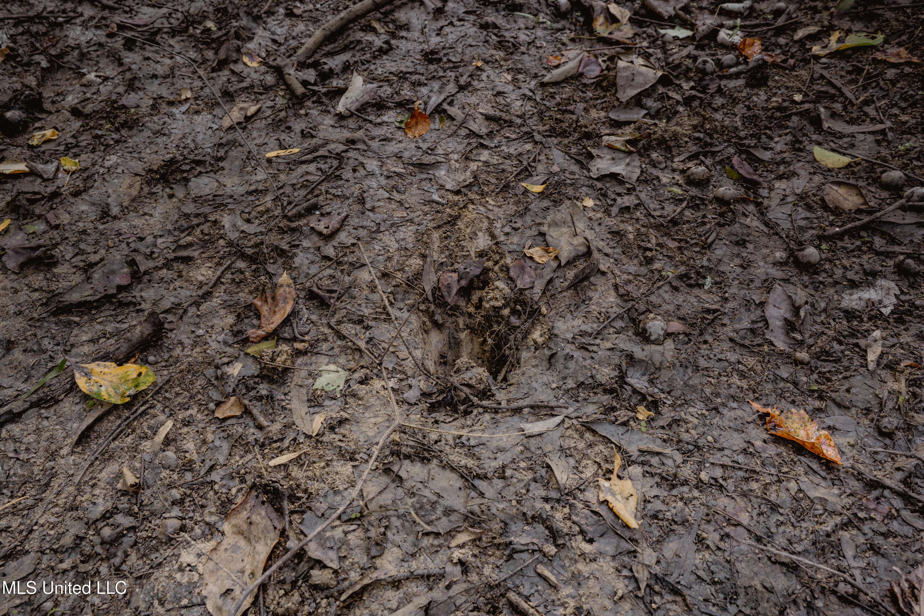 0 Browning Road Greenwood, MS 38930 - Photo 16 of 49 UNDER 15MB-Greenwood Ms-John Machost-15