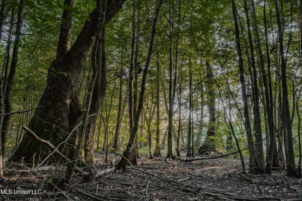 $239,400 | 0 Browning Road, Greenwood, MS 38930