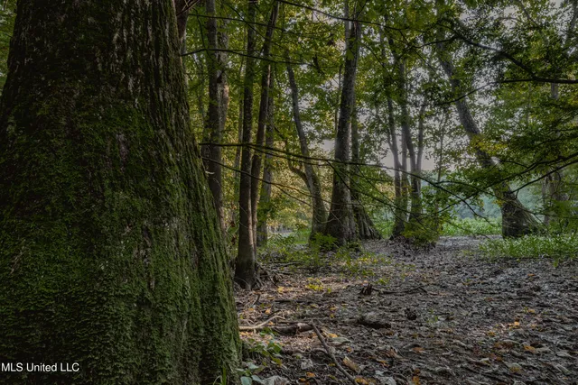 $239,400 | 0 Browning Road, Greenwood, MS 38930