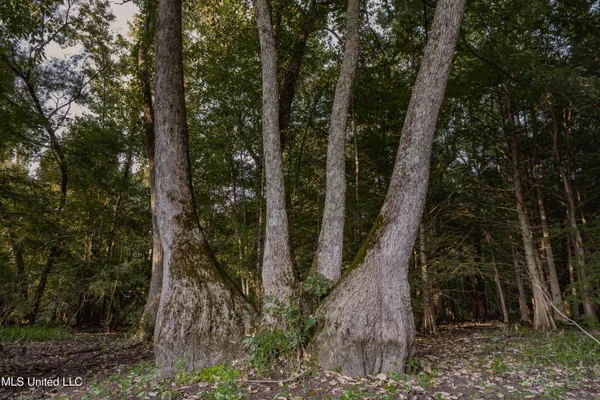 $239,400 | 0 Browning Road, Greenwood, MS 38930