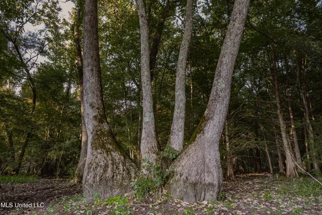$239,400 | 0 Browning Road, Greenwood, MS 38930