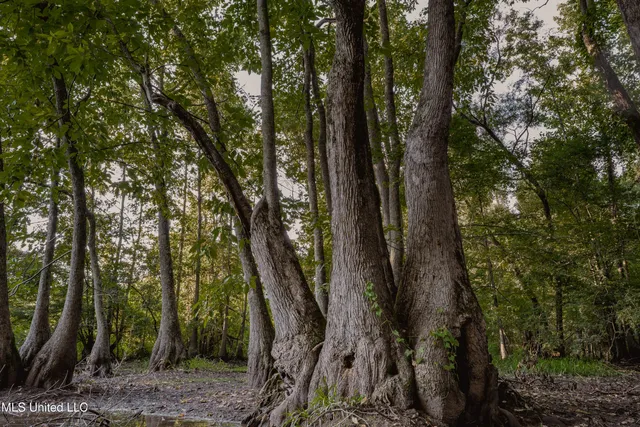 $239,400 | 0 Browning Road, Greenwood, MS 38930