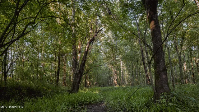 $239,400 | 0 Browning Road, Greenwood, MS 38930