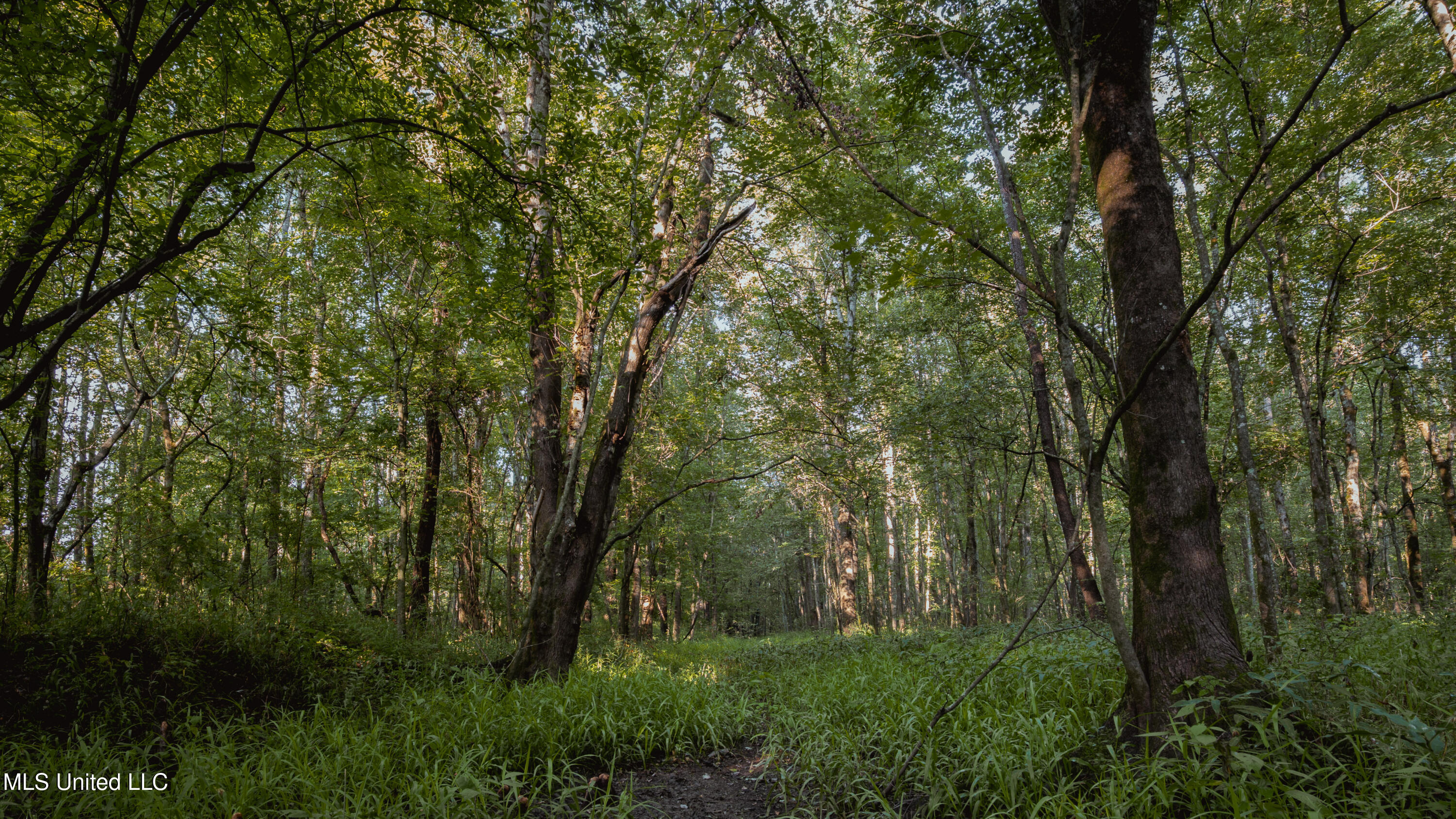 0 Browning Road Greenwood, MS 38930 - Photo 2 of 49 UNDER 15MB-Greenwood Ms-John Machost-01