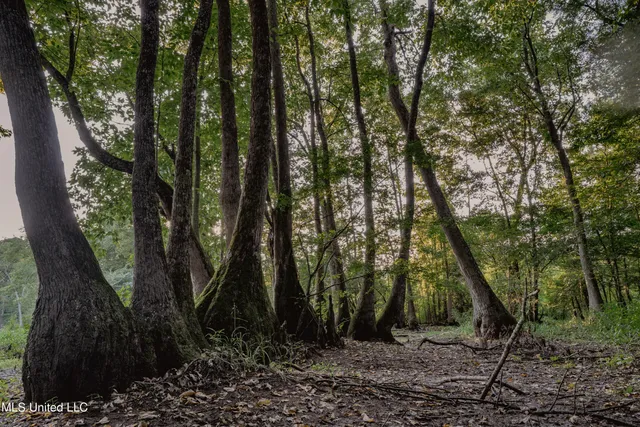 $239,400 | 0 Browning Road, Greenwood, MS 38930