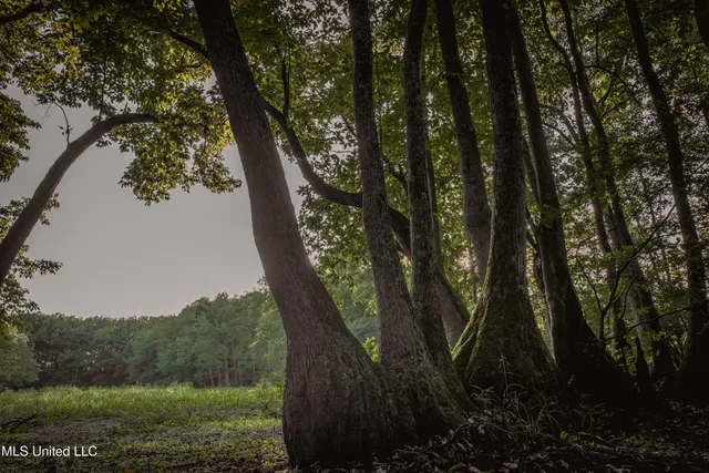 $239,400 | 0 Browning Road, Greenwood, MS 38930